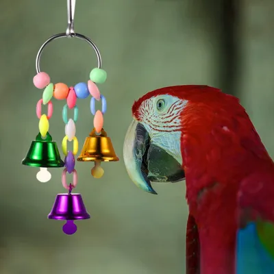 KPYTE Ensemble de jouets d'oiseaux suspendus