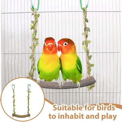 KPYTE Balançoire en bois pour perroquet