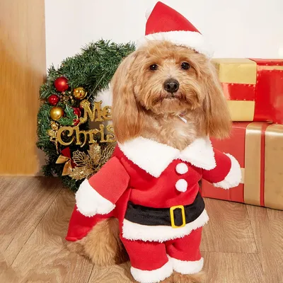 KPYTE Weihnachtskostüme für Hunde und Katzen KPYTE Weihnachtskostüme für Hunde und Katzen
