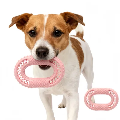 FurryFusion Jouet de dentition pour chien en forme de O