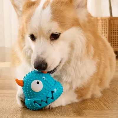 FurryFusion Jouet pour chien en forme de monstre en TPR
