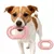 FurryFusion Jouet de dentition pour chien en forme de O