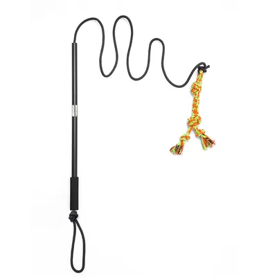 IntiMeg Bâton Télescopique pour Chien et Chat Longueur de corde 2,1 m