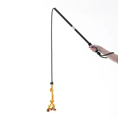 IntiMeg Bâton Télescopique pour Chien et Chat Longueur de corde 2,1 m