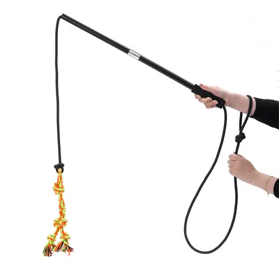 IntiMeg Bâton Télescopique pour Chien et Chat Longueur de corde 2,1 m