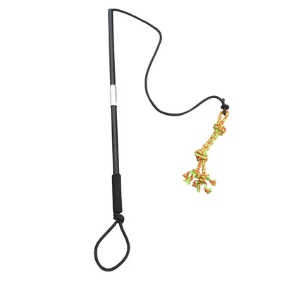 IntiMeg Bâton Télescopique pour Chien et Chat Longueur de corde 2,1 m