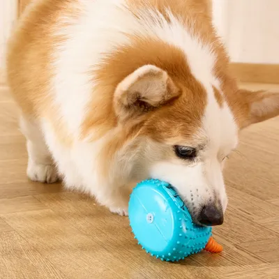 FurryFusion Jouet pour chien en forme de monstre en TPR