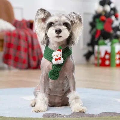 KPYTE Weihnachtsschal für Hunde