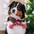 KPYTE Gestrickter Weihnachtsschal für Hunde KPYTE Gestrickter Weihnachtsschal für Hunde