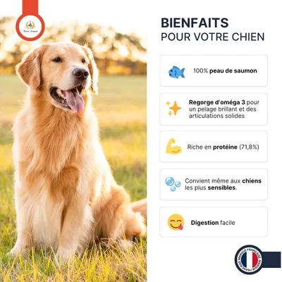 France Croquettes - Peaux de saumon roulées