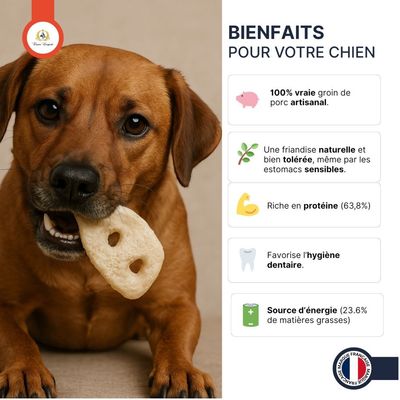 FRANCE CROQUETTES - Friandise Chien - Groin de porc