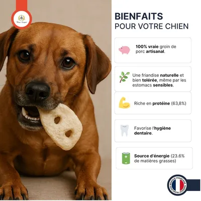 France Croquettes - Groin de porc