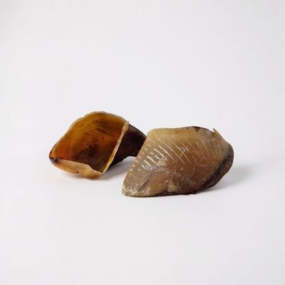 France Croquettes Sabot de bœuf