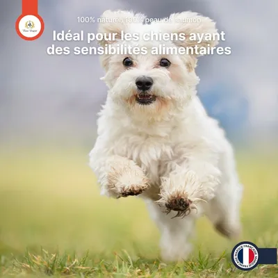 France Croquettes - Peaux de saumon roulées