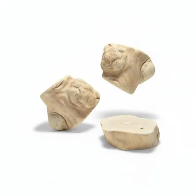 France Croquettes - Racine de Caféier