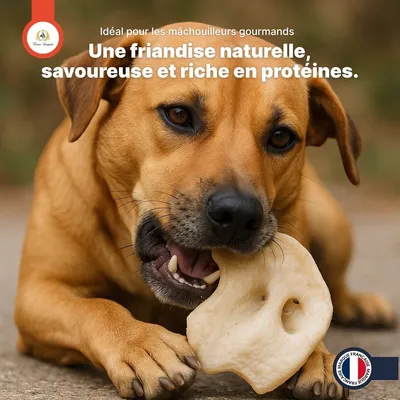 France Croquettes - Groin de porc