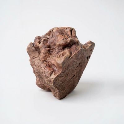 France Croquettes - Racine de Bruyère