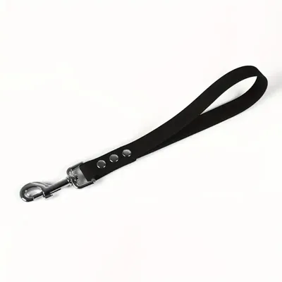 FranceCroquettes - Laisse Biothane 35cm FranceCroquettes - Laisse Biothane 35cm