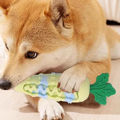 ZENITHMIND Jouets À Mâcher en Silicone en Forme De Carotte pour Chien