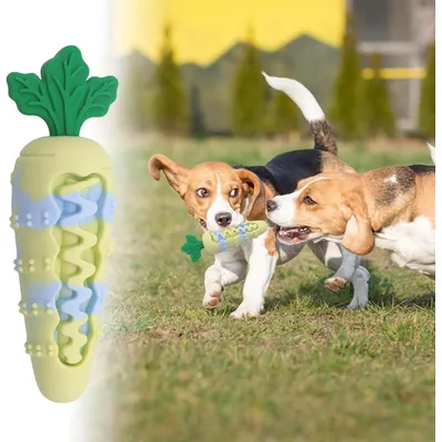 ZENITHMIND Jouets À Mâcher en Silicone en Forme De Carotte pour Chien