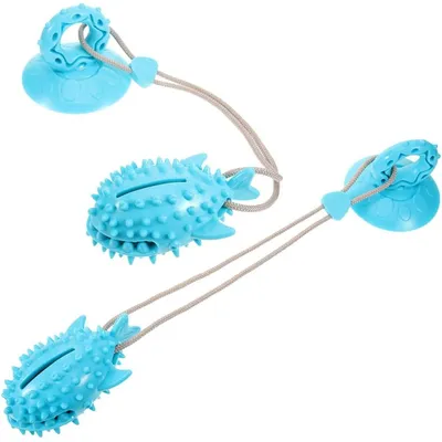 ZENITHMIND Jouet Interactif en Forme De Requin pour Chien