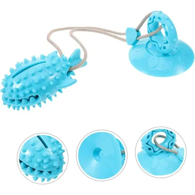ZENITHMIND Jouet Interactif en Forme De Requin pour Chien