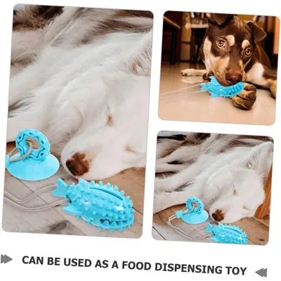 ZENITHMIND Jouet Interactif en Forme De Requin pour Chien