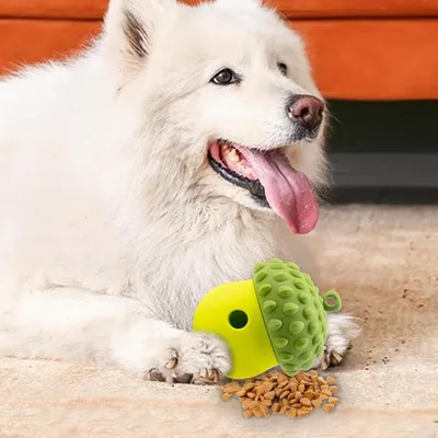 ZENITHMIND Distributeur de friandises pour chien vert