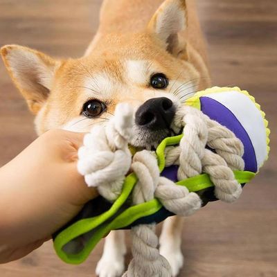 ZENITHMIND Jouet à mâcher pour Chien Baskets