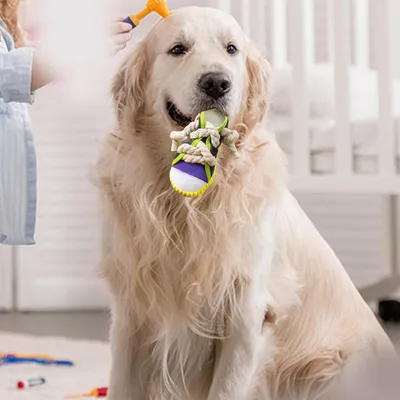 ZENITHMIND Jouet à mâcher pour Chien Baskets