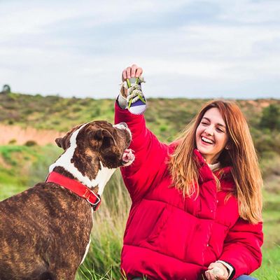 ZENITHMIND Jouet à mâcher pour Chien Baskets