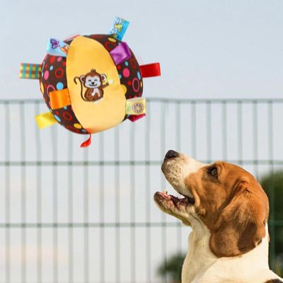 ZENITHMIND Jouet interactif en peluche pour chien