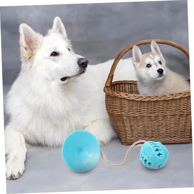 ZENITHMIND Jouet à Mastiquer Squeaky pour Chiens