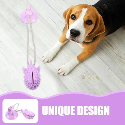 ZENITHMIND Jouet Interactif en Forme De Requin pour Chien