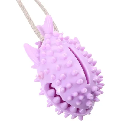 ZENITHMIND Jouet Interactif en Forme De Requin pour Chien