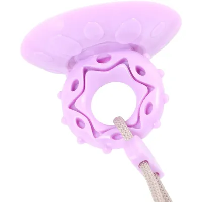 ZENITHMIND Jouet Interactif en Forme De Requin pour Chien