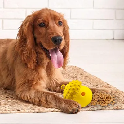 ZENITHMIND Distributeur de friandises pour chien jaune