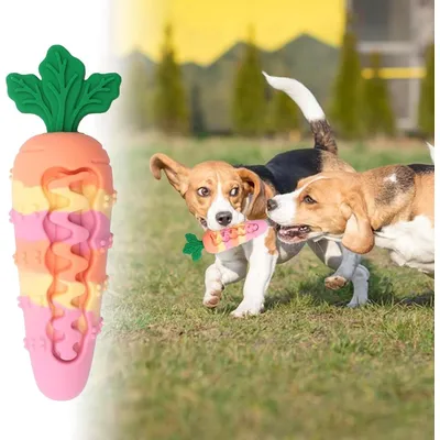 ZENITHMIND Jouets À Mâcher en Silicone en Forme De Carotte pour Chien