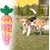 ZENITHMIND Jouets À Mâcher en Silicone en Forme De Carotte pour Chien