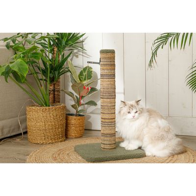 Poteau à griffer Boréal M vert H 70 cm pour chat