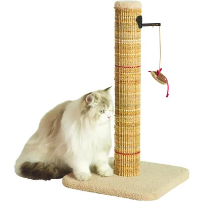 Poteau à griffer Boréal M beige H 60 cm pour chat