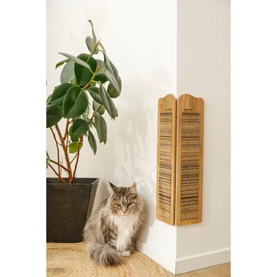 Griffoir d'angle Boréal vert 15 x 15 x H 60 cm pour chat