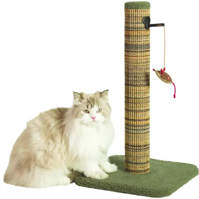 zolux - Poteau à griffer Boréal M vert H 60 cm pour chat