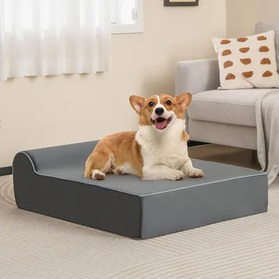 Giantex Lit Orthopédique pour Chien en Mousse à Mémoire Graphène,Appui-tête