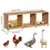 BINGOPAW Nichoirs à poules à 3 compartiments en bois pour poules pondeuses