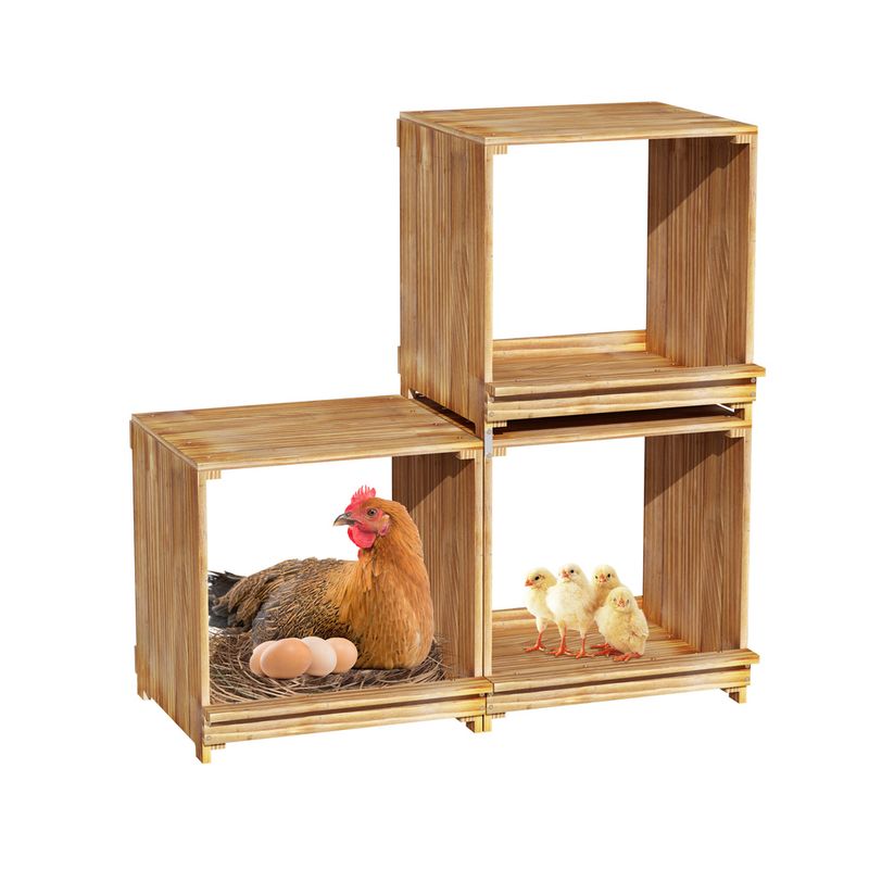 BINGOPAW Nichoirs à poules à 3 compartiments en bois pour poules pondeuses