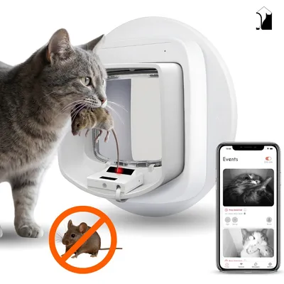 ZeroMOUSE 2.0: Intelligente Beute-Erkennung für Mikrochip-Katzenklappen