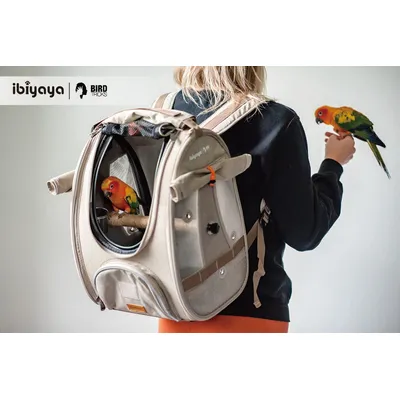 Sac à dos pour oiseaux avec perchoir approuvé par les compagnies aériennes