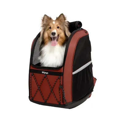 Sac à dos de transport Champion 3 en 1 pour grand chien - Bordeaux