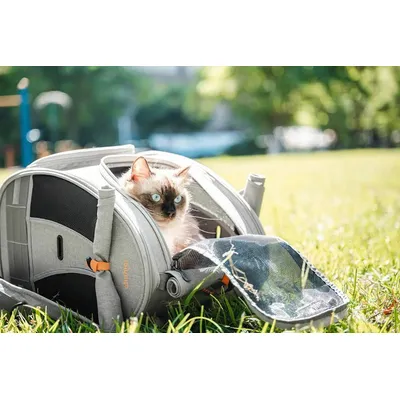 Sac à dos de transport Adventure pour chat et petit chien